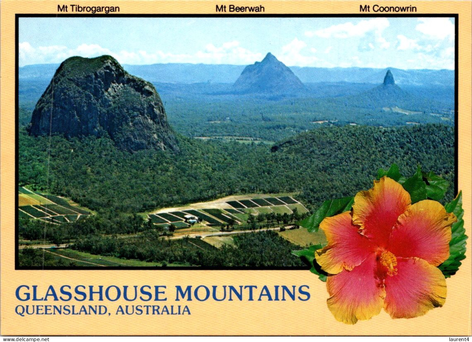 14-5-2024 (5 Z 1) Australia  (not Posted) QLD - Glasshouse Mountains (& Flower) - Sunshine Coast