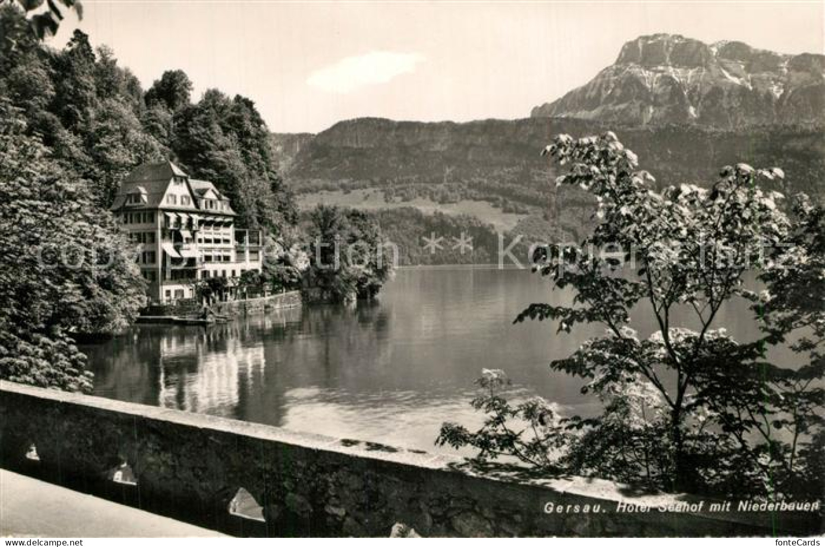 13575947 Gersau Vierwaldstaettersee Hotel Seehof Mit Niederbauen Gersau Vierwald - Sonstige & Ohne Zuordnung