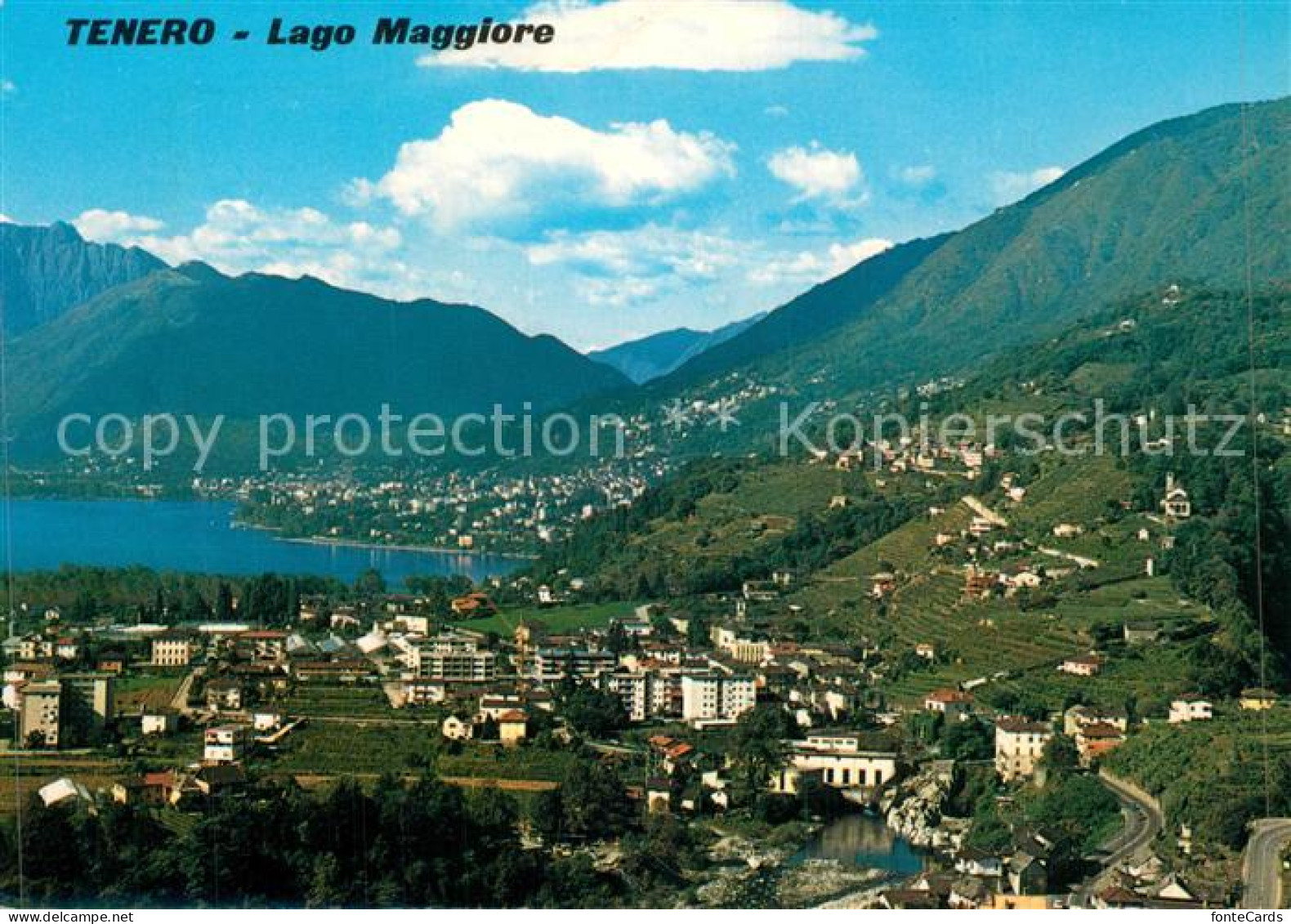 13573507 Tenero Panorama Lago Maggiore Alpen Tenero - Andere & Zonder Classificatie