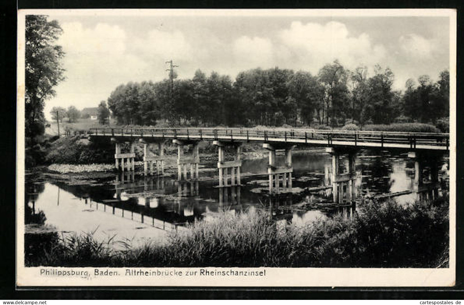 AK Philippsburg /Baden, Die Altrheinbrücke Zur Rheinschanzinsel  - Baden-Baden