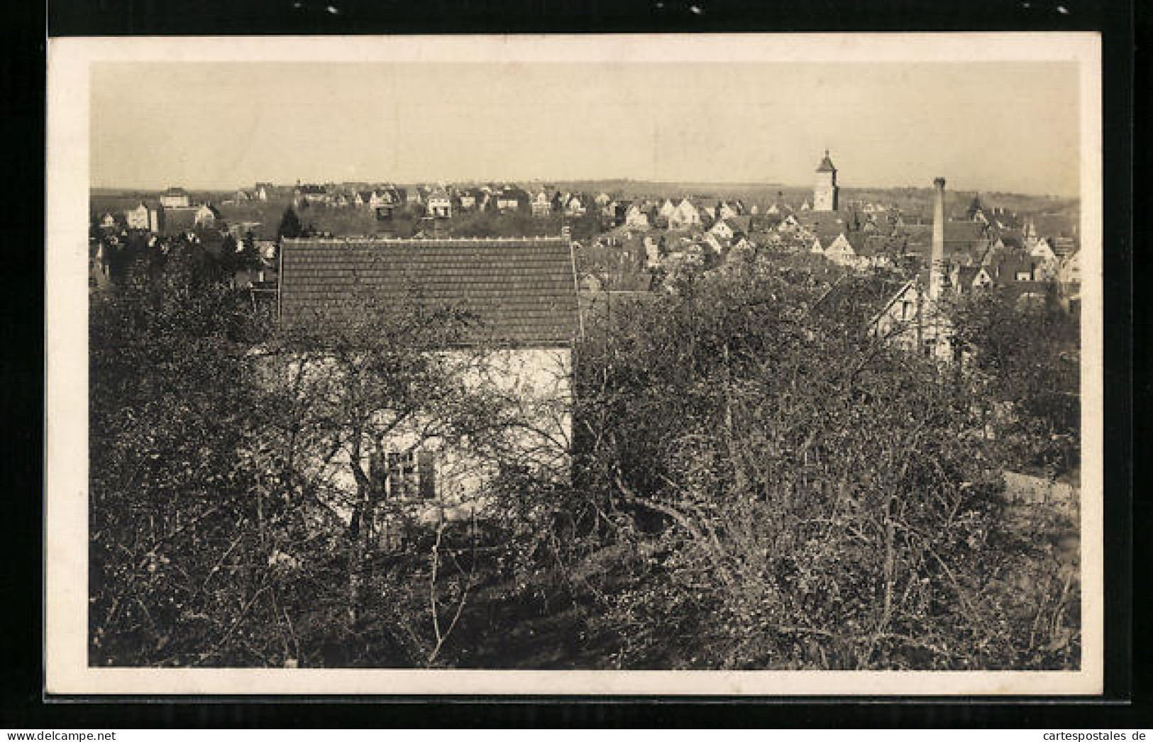 AK Waiblingen, Blick Von Der Korber Steige 11 Mit Gärtnerei Widmayer  - Waiblingen