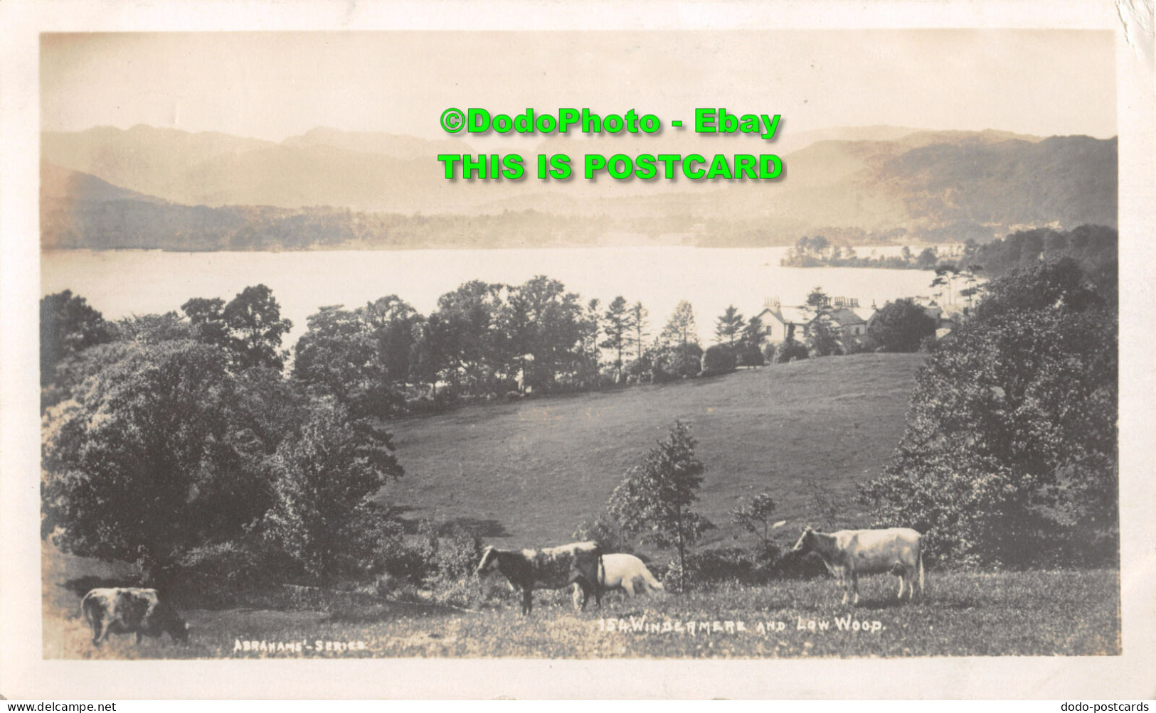 R354015 Windermere And Low Wood. 154. Abrahams Series. 1921 - World