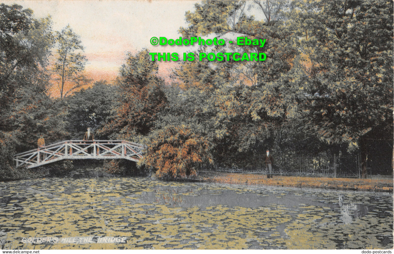 R354017 Golders Hill The Bridge. Post Card. 1907 - World