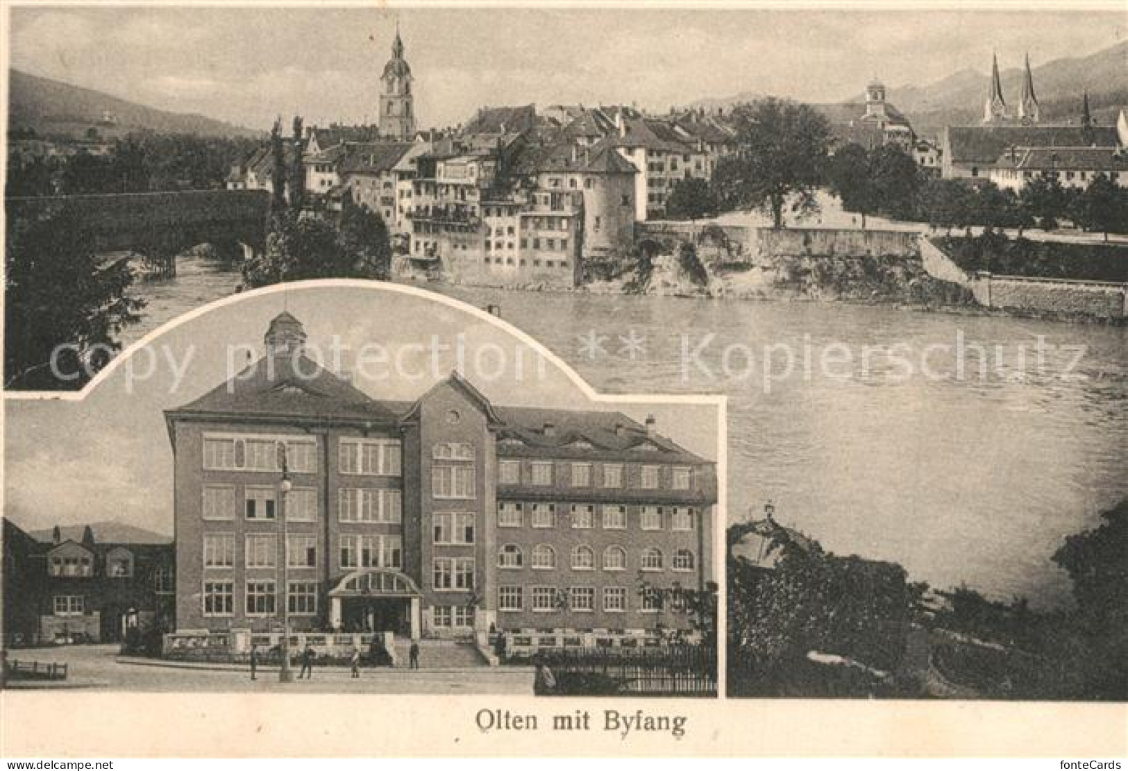 13557617 Olten Mit Byfang Olten - Altri & Non Classificati