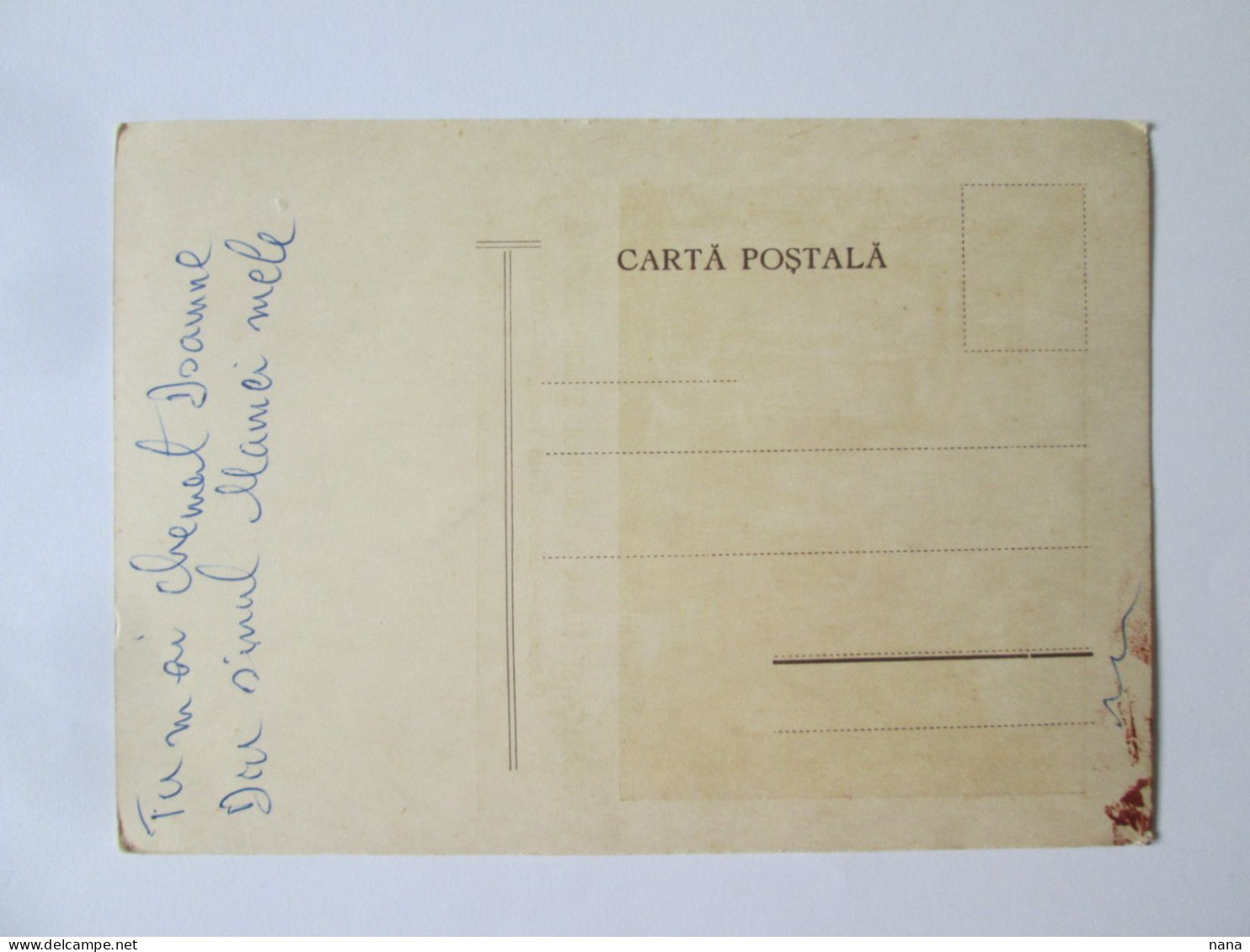 Romania-București:Biserica Romano-Catolică Sf.Elena și Căminul Studențesc Unused Postcard About 1920 - Roumanie