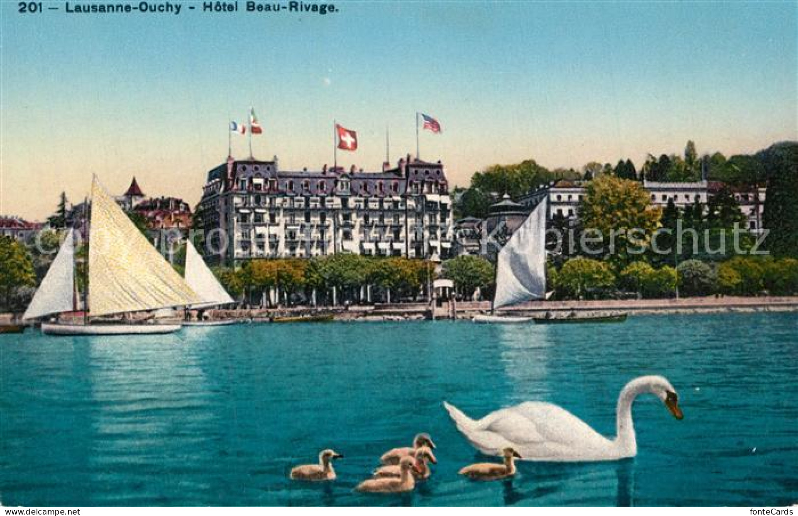 13534009 Ouchy Hôtel Beau Rivage Lac Leman Genfersee Schwaene Ouchy - Autres & Non Classés