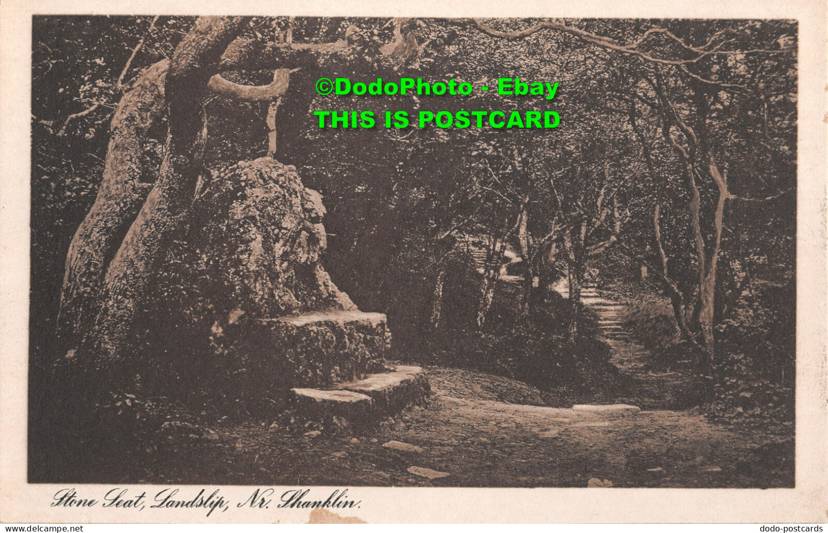 R354135 Stone Seat Landslip Nr. Shanklin. Post Card - World