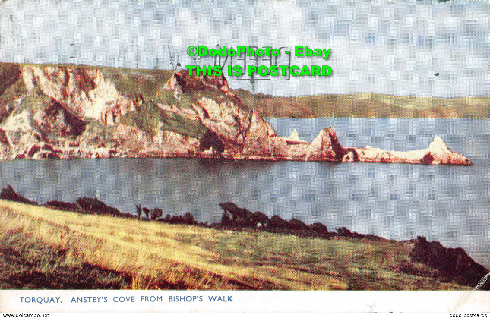 R354366 Torquay. Ansteys Cove From Bishops Walk. Photochrom Co. 1954 - World