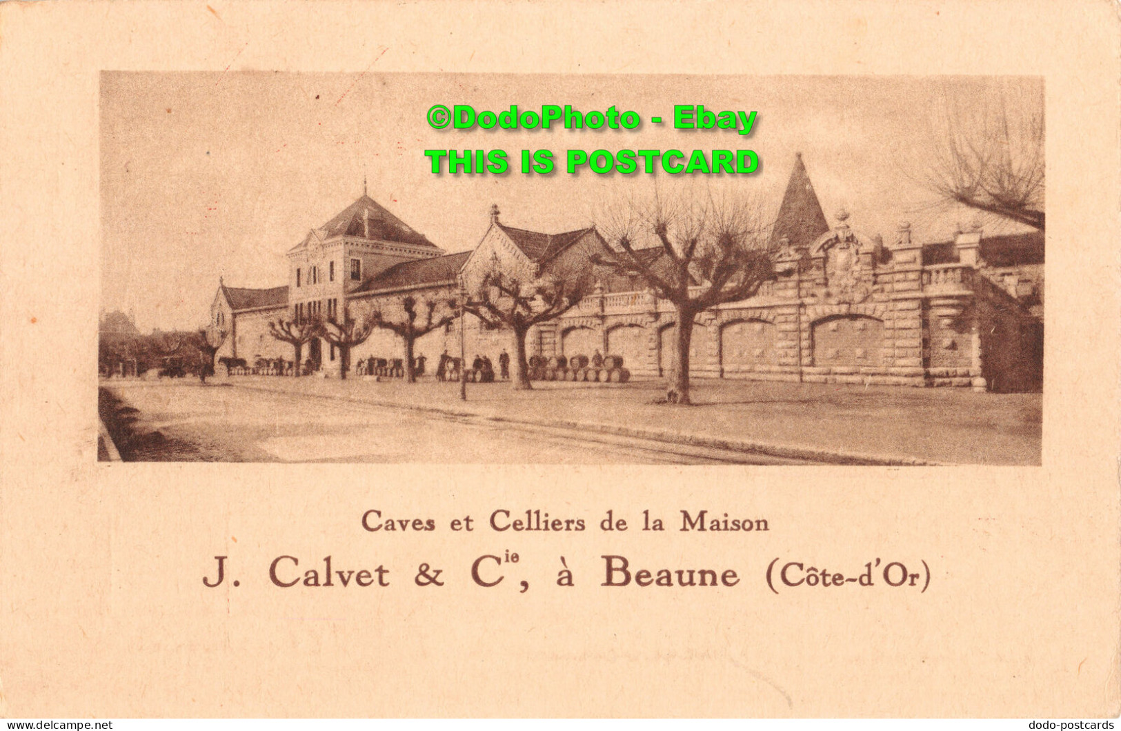 R354148 Caves Et Celliers De La Maison. J. Calvet And Cie A Beaune Cote D Or - World