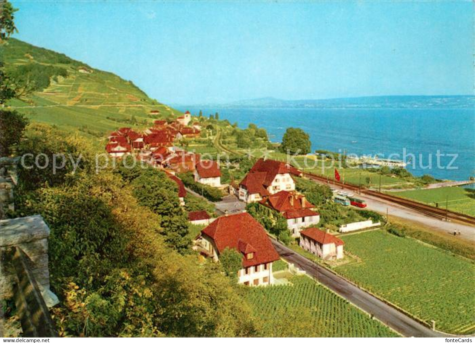 13519549 Twann Panorama Twann - Andere & Zonder Classificatie