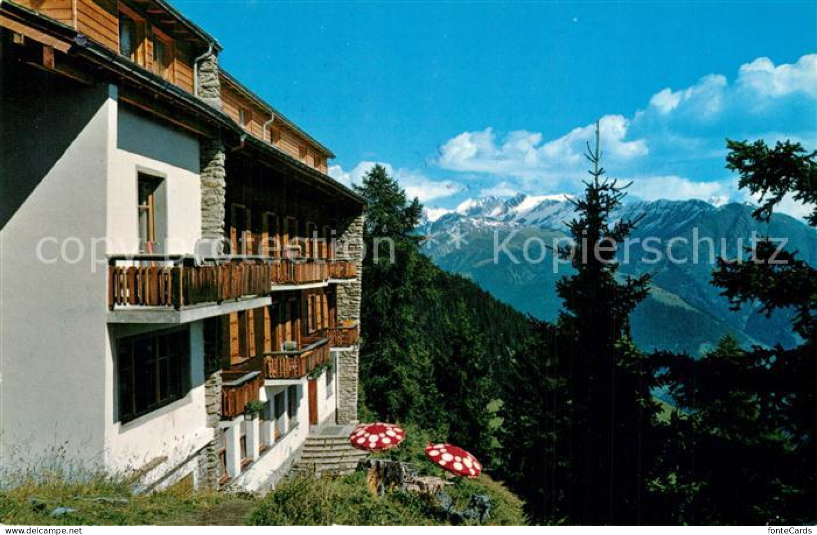 13353817 Bettmeralp VS Hotel Waldhaus Bettmeralp VS - Andere & Zonder Classificatie