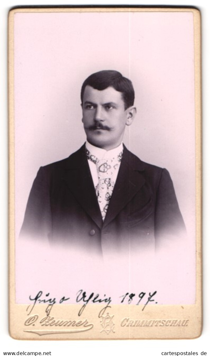 Fotografie O. Zeumer, Crimmitschau, Junger Mann Hugo Uhlig Mit Gemusterter Krawatte, 1897  - Anonymous Persons
