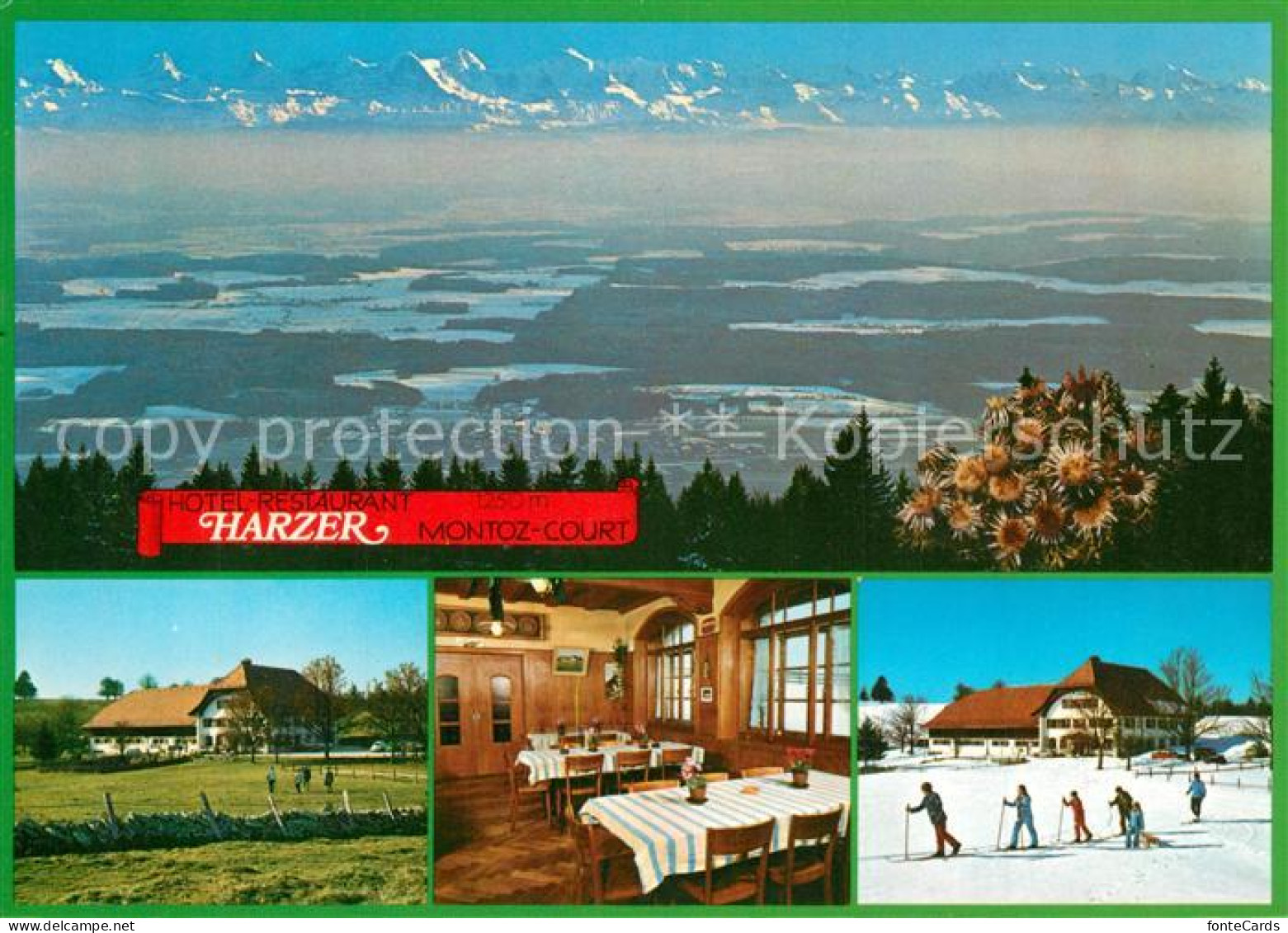 13317219 Montoz Talblick Alpenpanorama Hotel Restaurant Harzer Montoz - Other & Unclassified