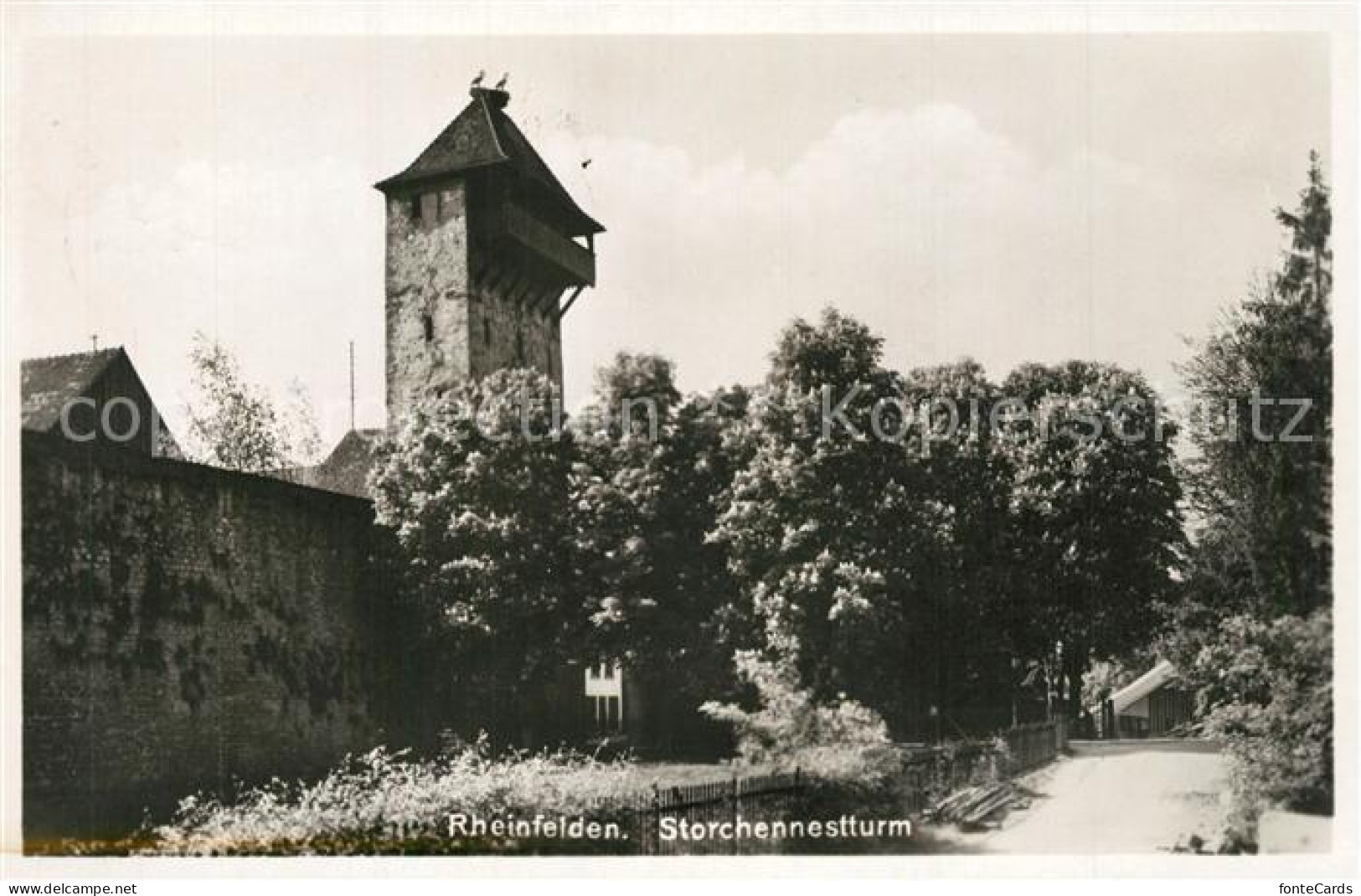 13316617 Rheinfelden AG Storchenestturm Rheinfelden AG - Autres & Non Classés