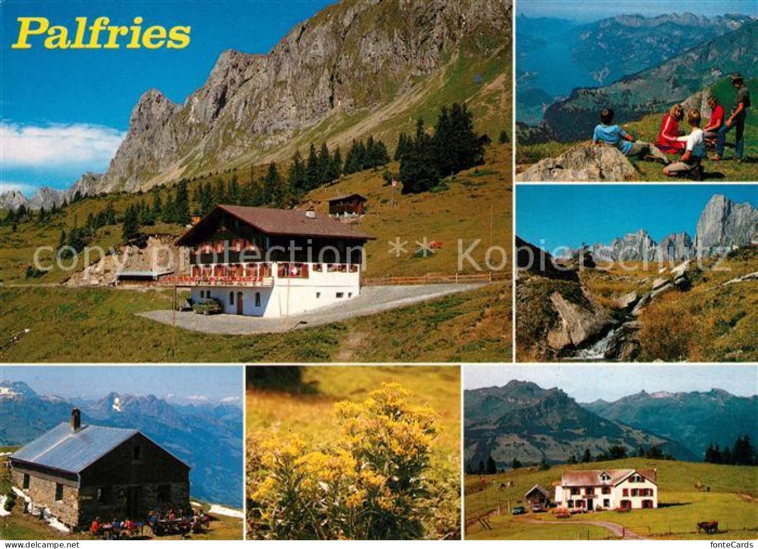 13316417 Azmoos Berghaus Palfries Bergwandern Bergwiesen Alpenpanorama Azmoos - Andere & Zonder Classificatie