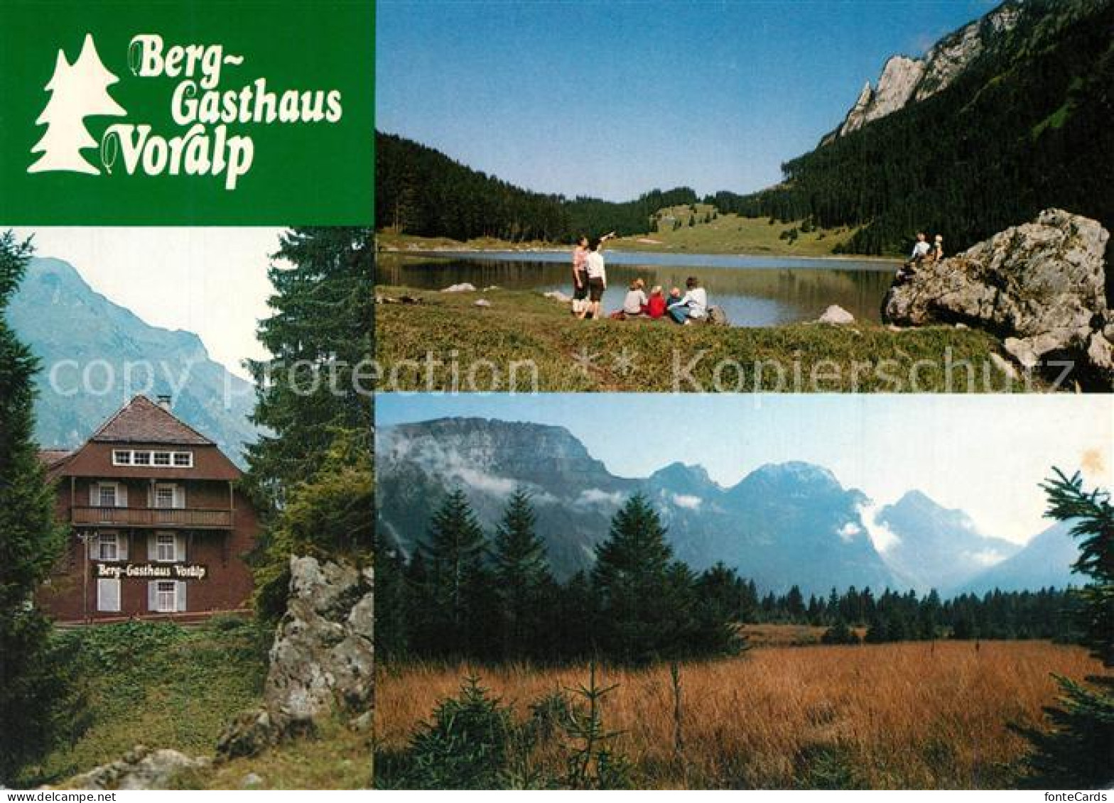13316397 Voralpsee Berggasthaus Bergsee Gamperfiner Hochmoor Alpen Voralpsee - Sonstige & Ohne Zuordnung