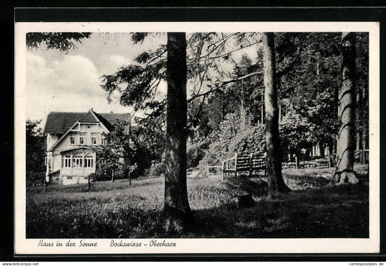 AK Bockswiese /Oberharz, Haus In Der Sonne  - Oberharz