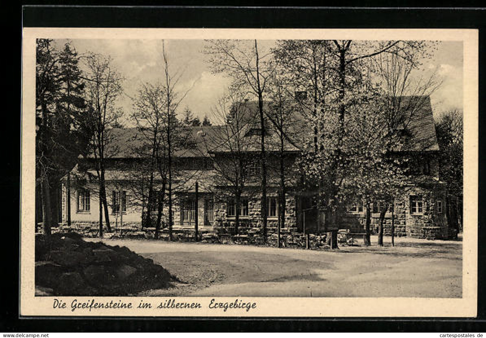 AK Ehrenfriedersdorf /Erzgebirge, Berggasthaus Greifenstein  - Ehrenfriedersdorf