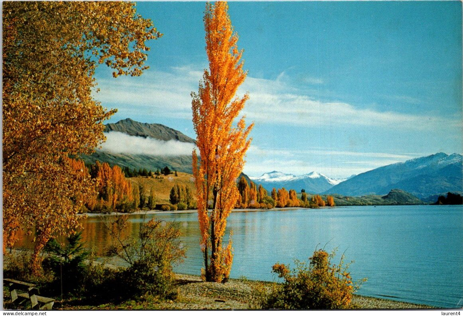 14-5-2024 (5 Z 10) New Zealand  (posted To Australia 1980 ? With Shell Stamp) Lake Wanaka - Nouvelle-Zélande