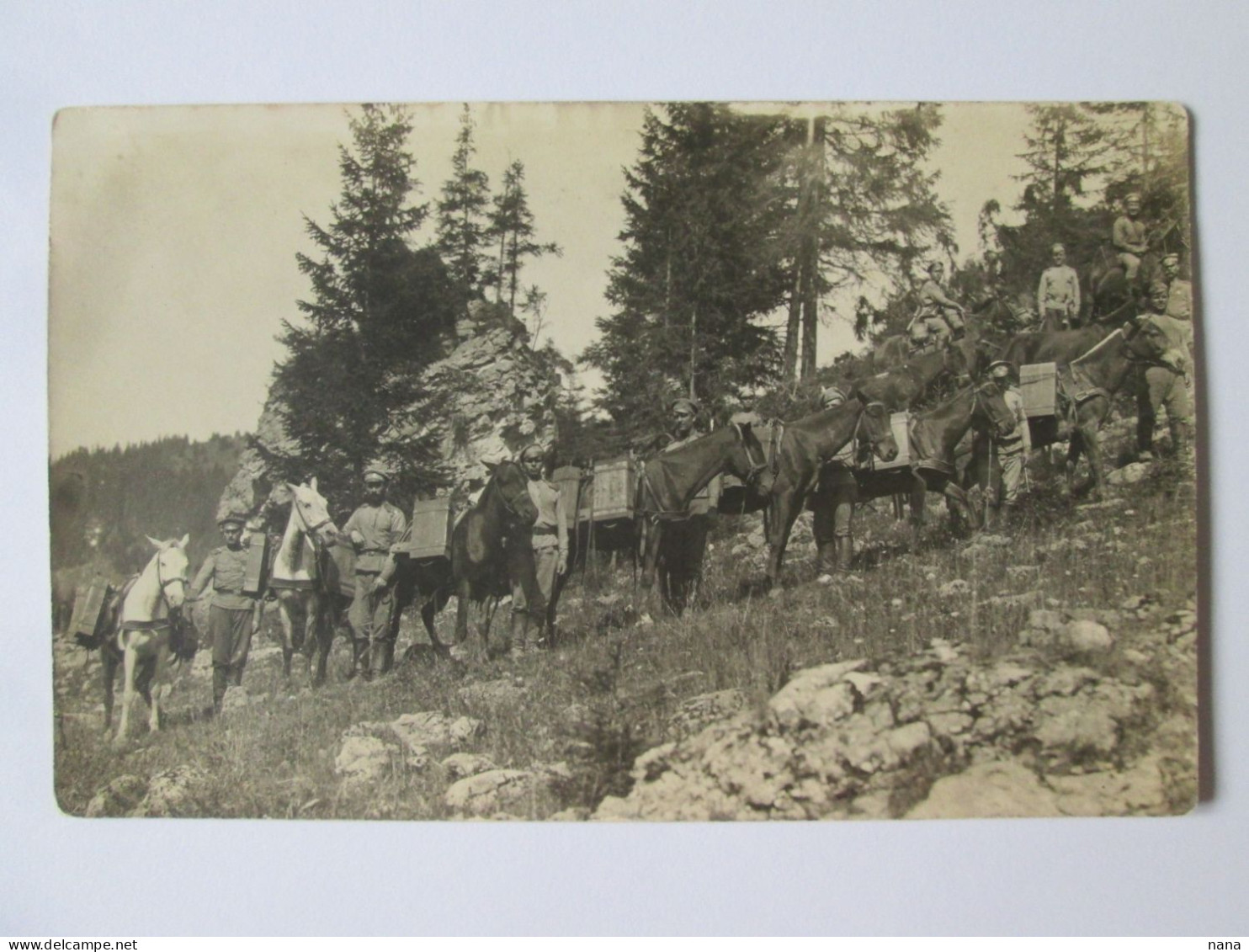 Carte Postale Photo De L'armee Russe 1914/Russian Army 1914 Photo Postcard - Russia