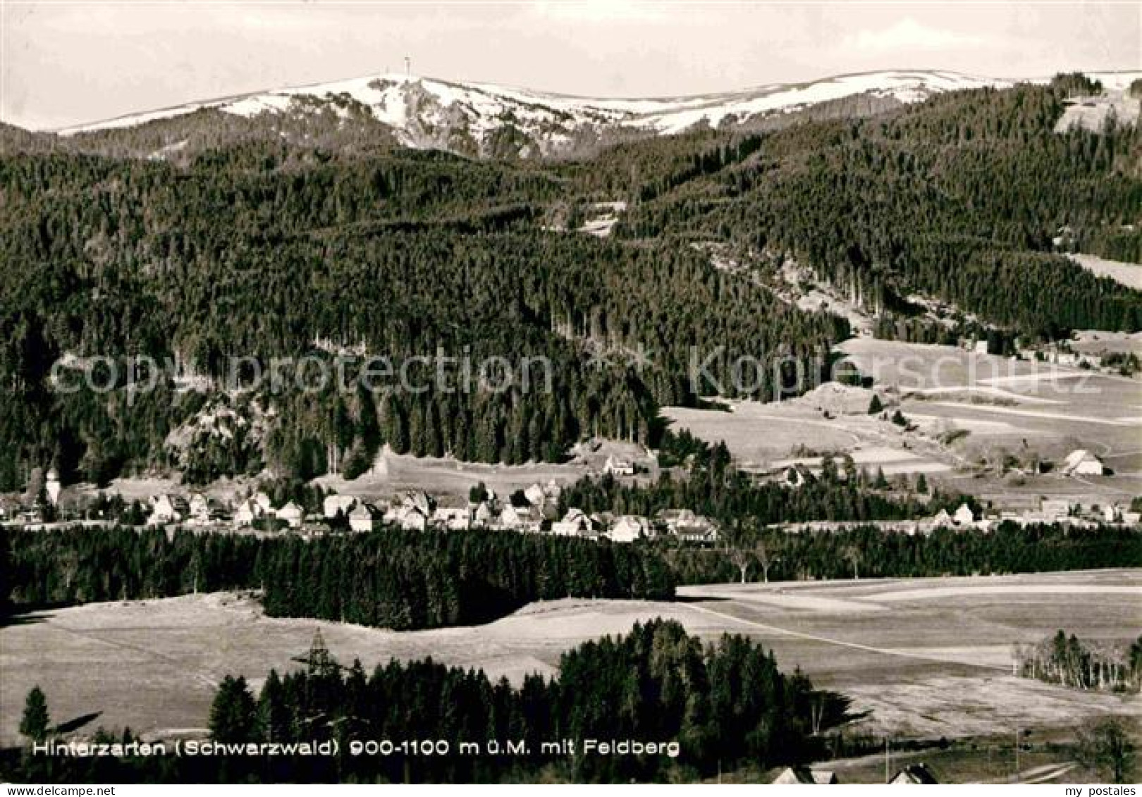 72811570 Hinterzarten Panorama Blick Zum Feldberg Schwarzwald Hinterzarten - Hinterzarten