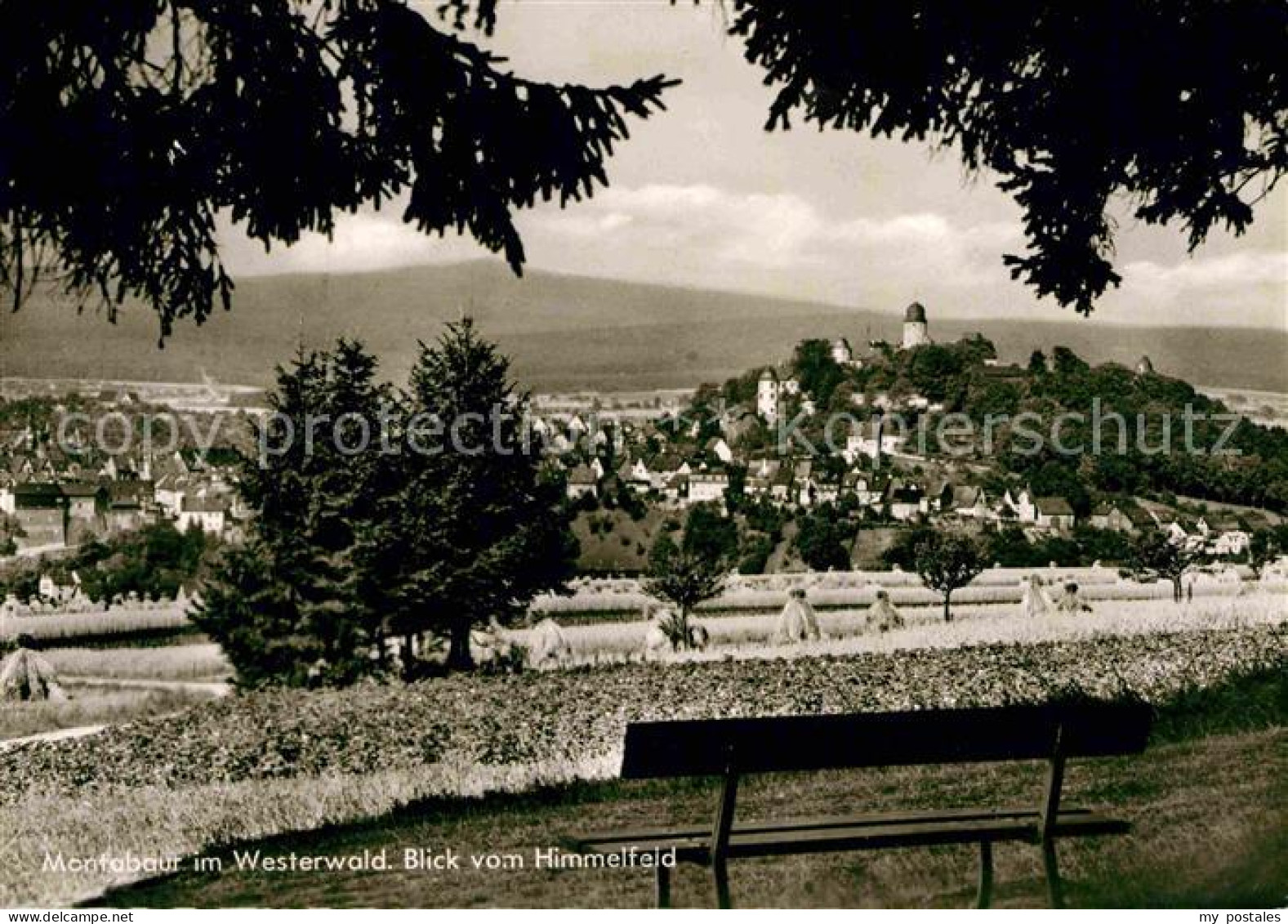 72811494 Montabaur Westerwald Panorama Blick Vom Himmelfeld Montabaur - Montabaur