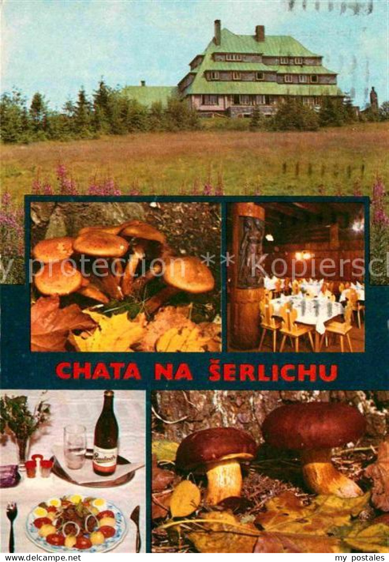 72811376 Destne Turisticka Chata Na Serlichu  Destne - Tchéquie