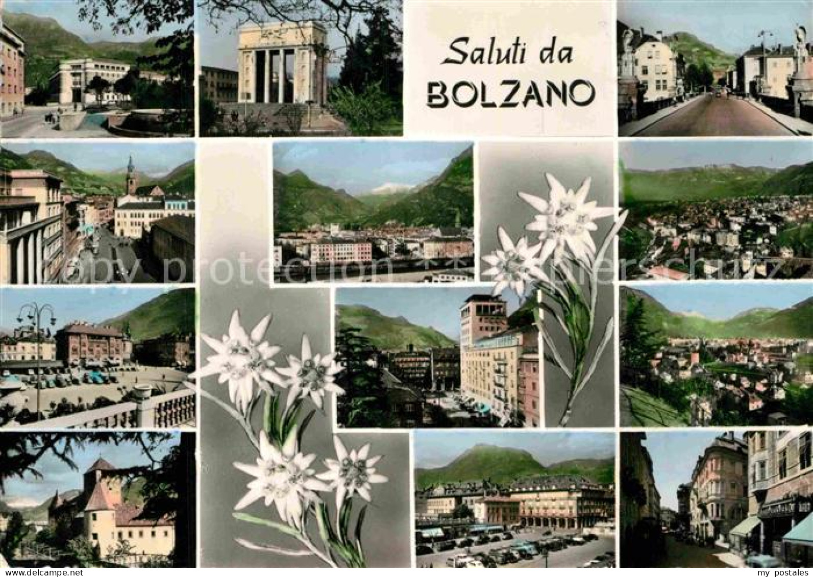 72807690 Bolzano Teilansichten Edelweiss Bozen - Other & Unclassified