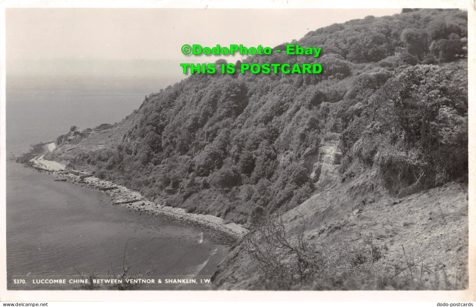 R354565 Luccombe Chine Between Ventnor And Shanklin I. W. 5370. W. J. Nigh. RP. - World
