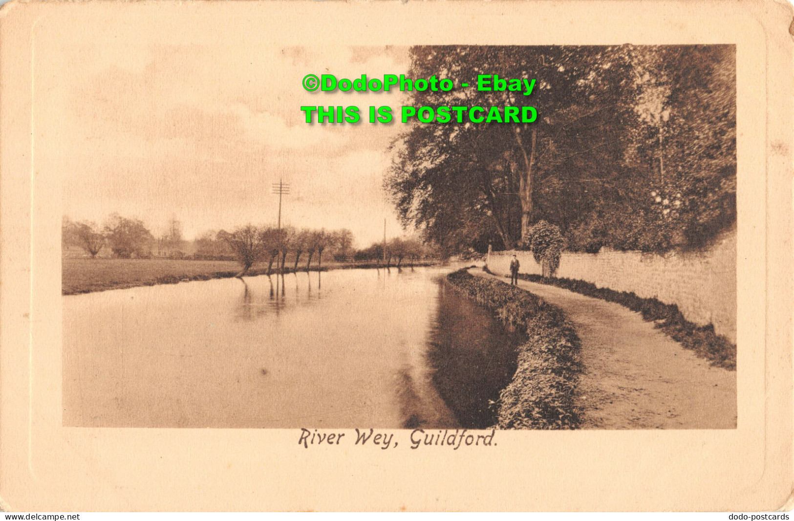 R354587 River Wey Guildford. Raphael Tuck And Sons Plate Marked Sepia Postcard N - Monde