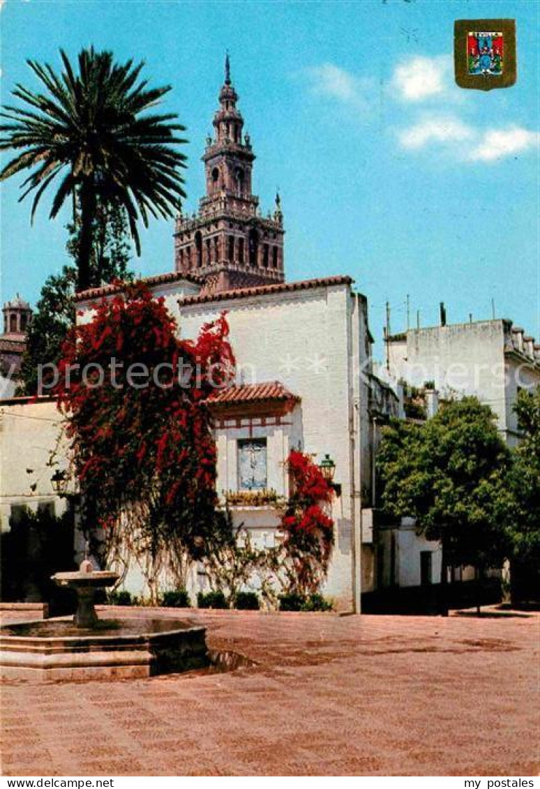 72807499 Sevilla Andalucia Plaza De La Alianza  - Altri & Non Classificati