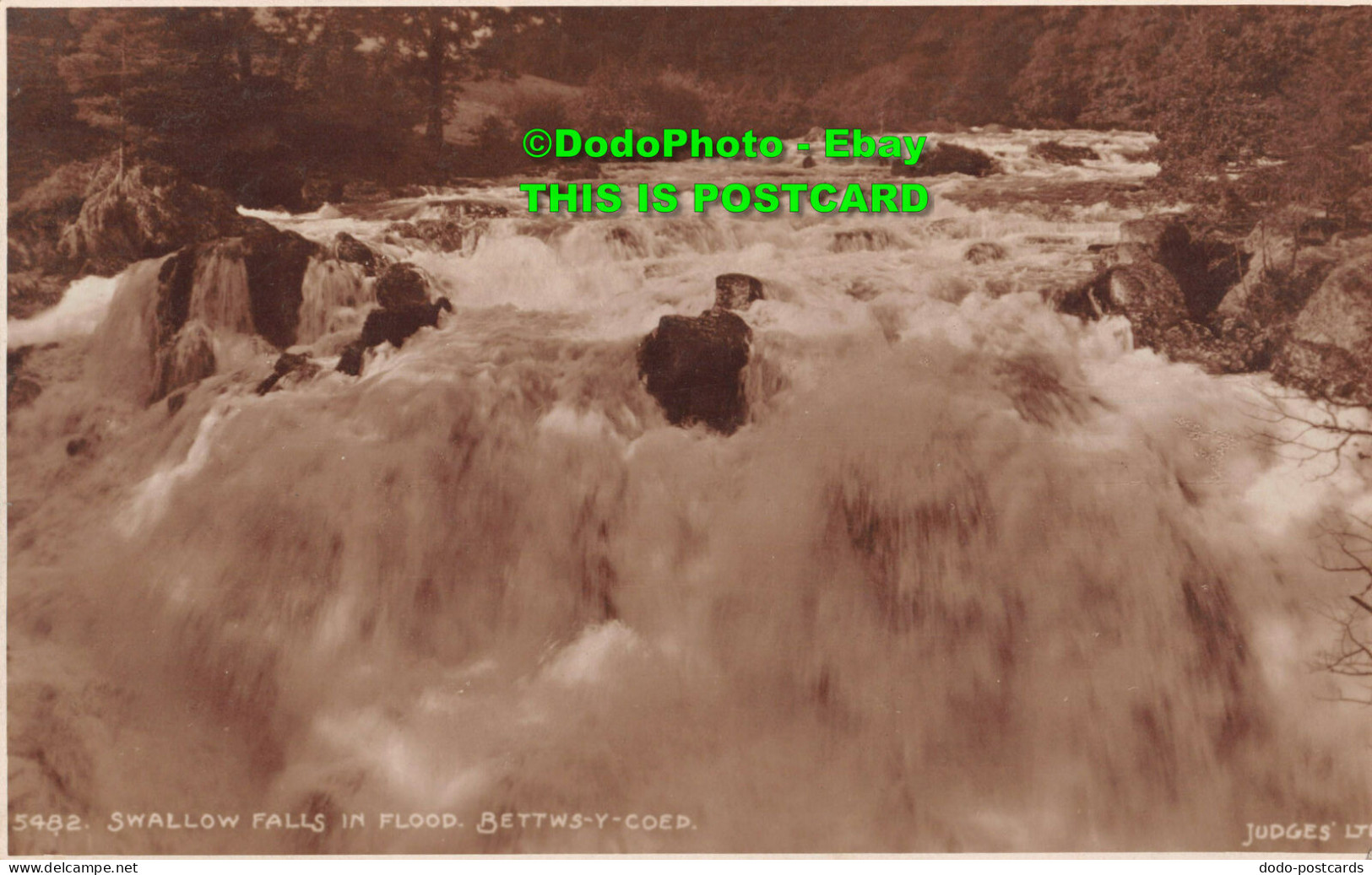 R354605 Swallow Falls In Flood. Bettws Y Coed.5482. Judges - World