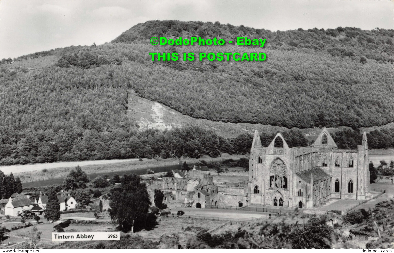 R354613 Tintern Abbey 3963 - Monde