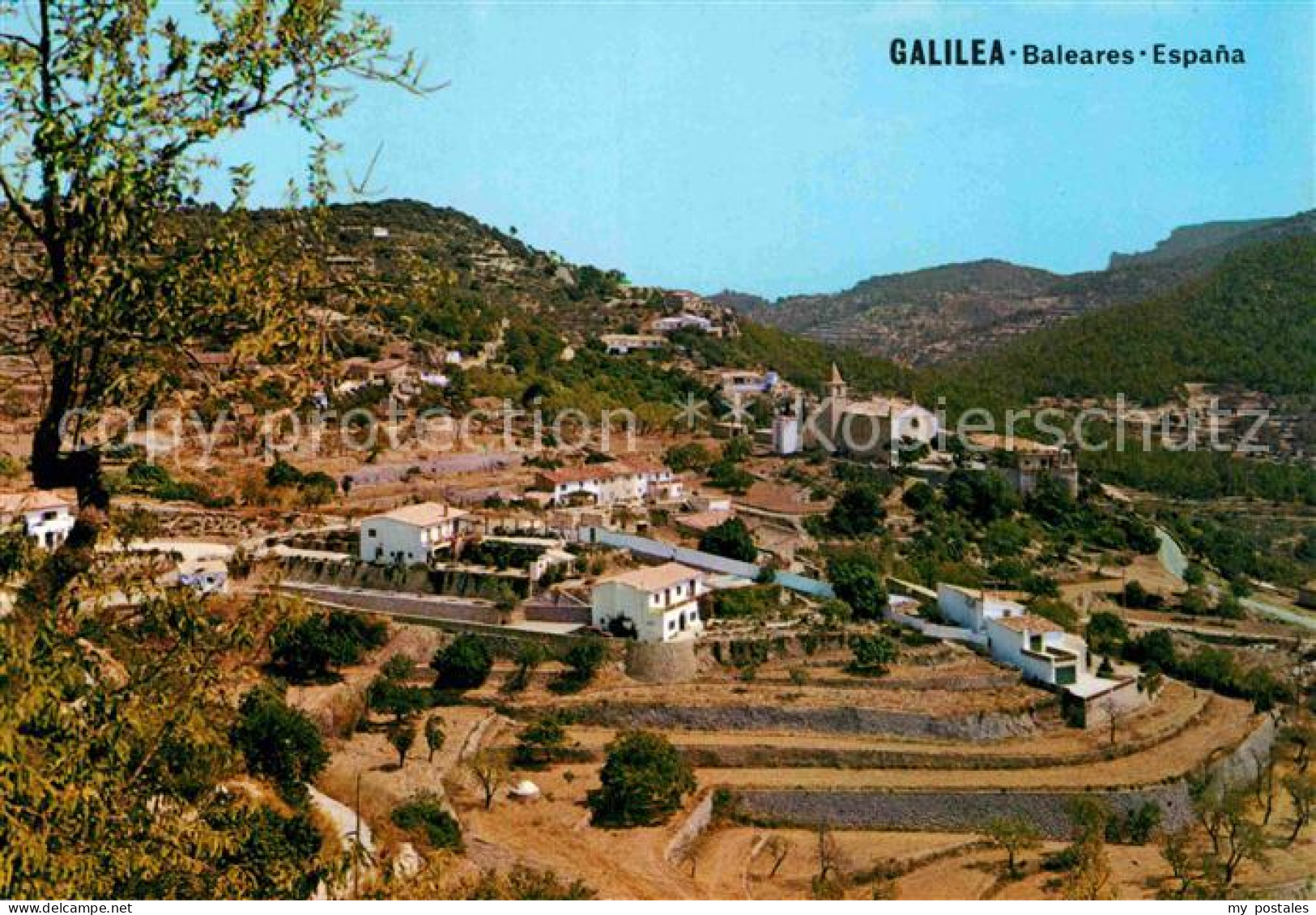 72807488 Galilea Panorama Berge Galilea - Andere & Zonder Classificatie