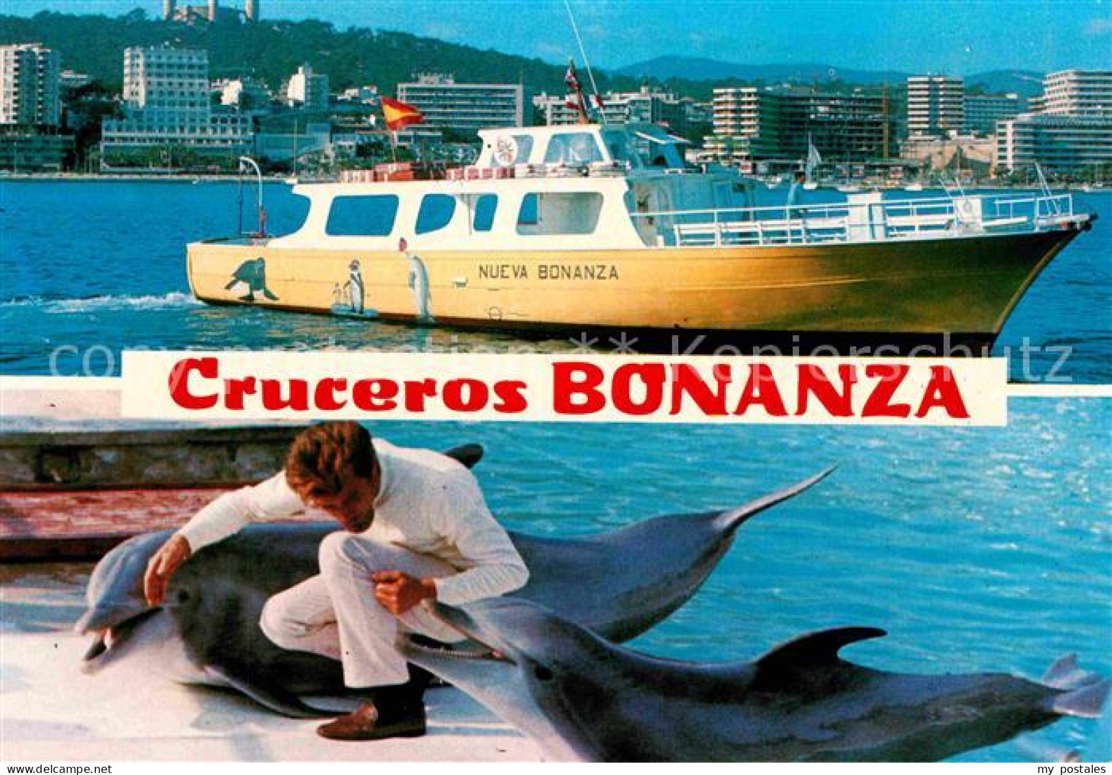 72807487 Palma De Mallorca Cruceros Bonanza Yacht Delphine Palma - Andere & Zonder Classificatie