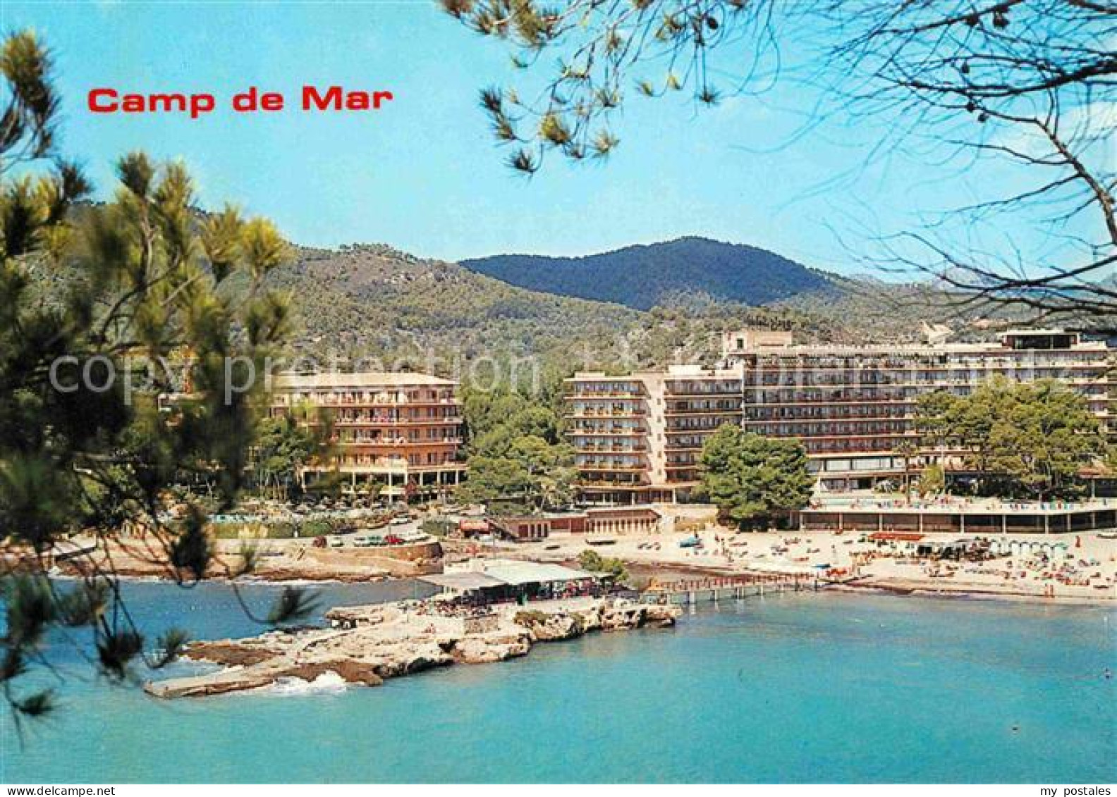 72805828 Camp De Mar Hotels Strand Andratx Mallorca - Autres & Non Classés