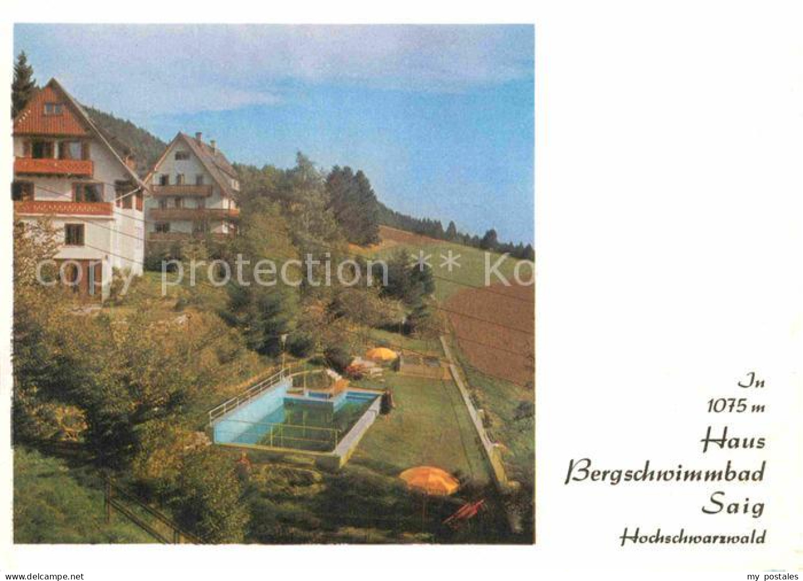 72803636 Saig Schwarzwald Fremdenheim Haus Bergschwimmbad Lenzkirch - Andere & Zonder Classificatie