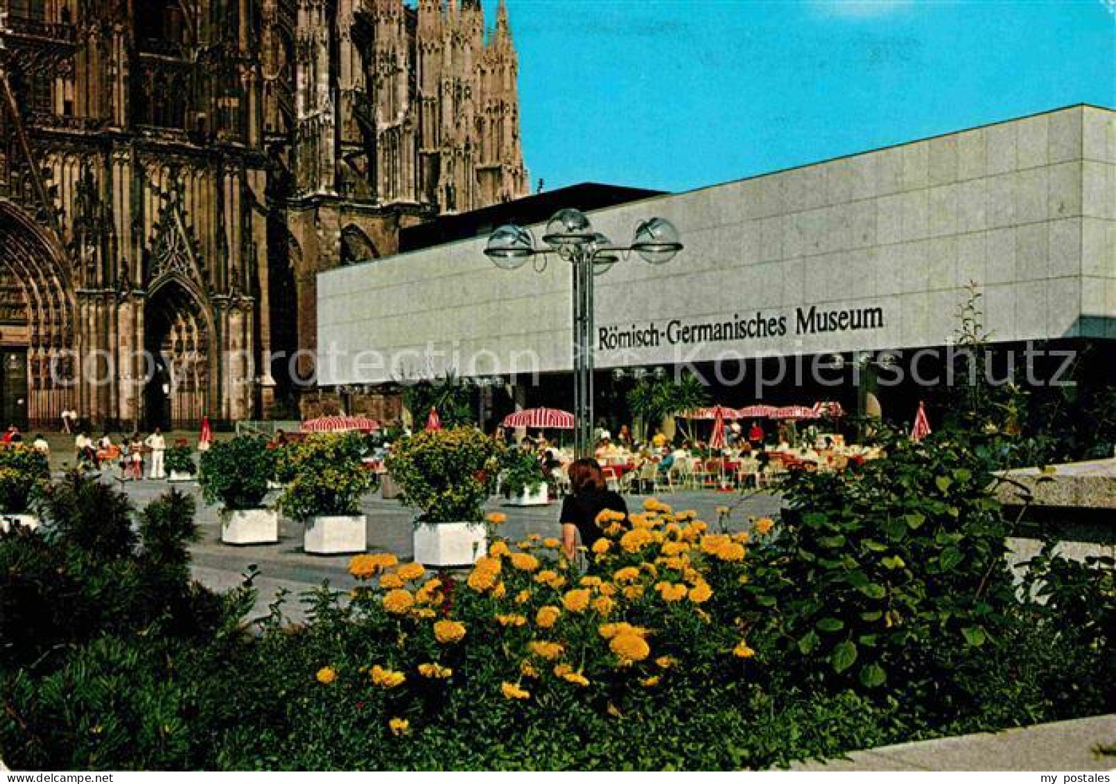 72803567 Koeln Rhein Roemisch Germanisches Museum Koeln - Köln