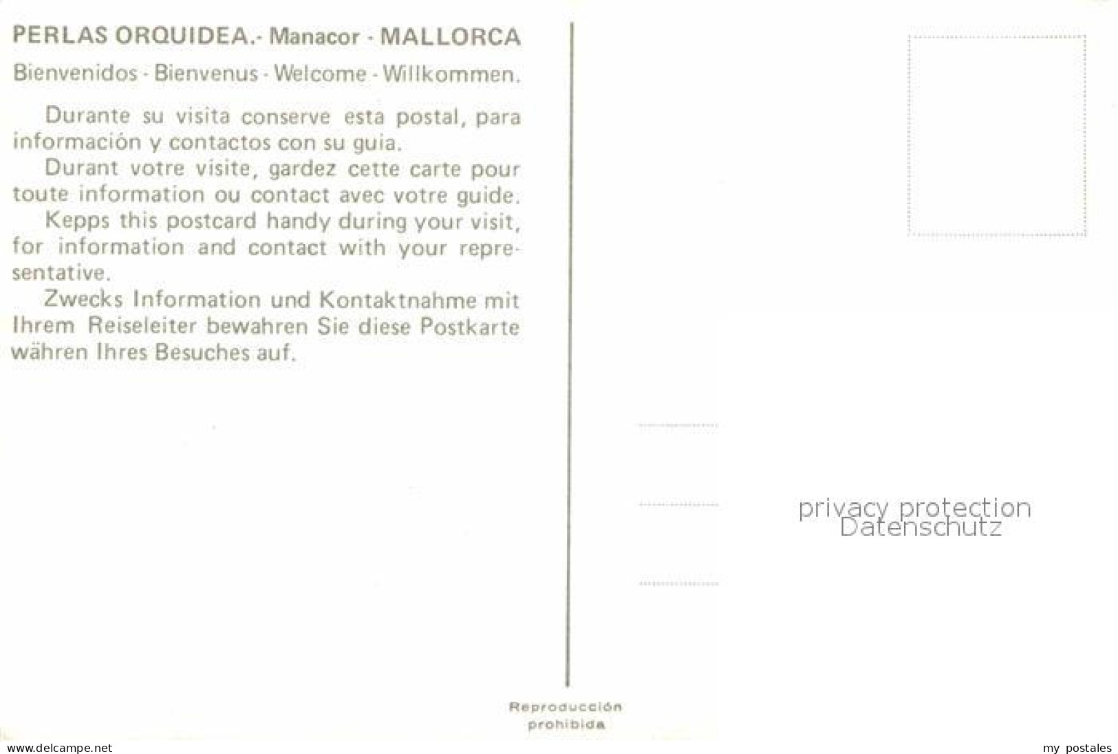 72803516 Manacor Perlas Orquidea Fontana Manacor - Andere & Zonder Classificatie
