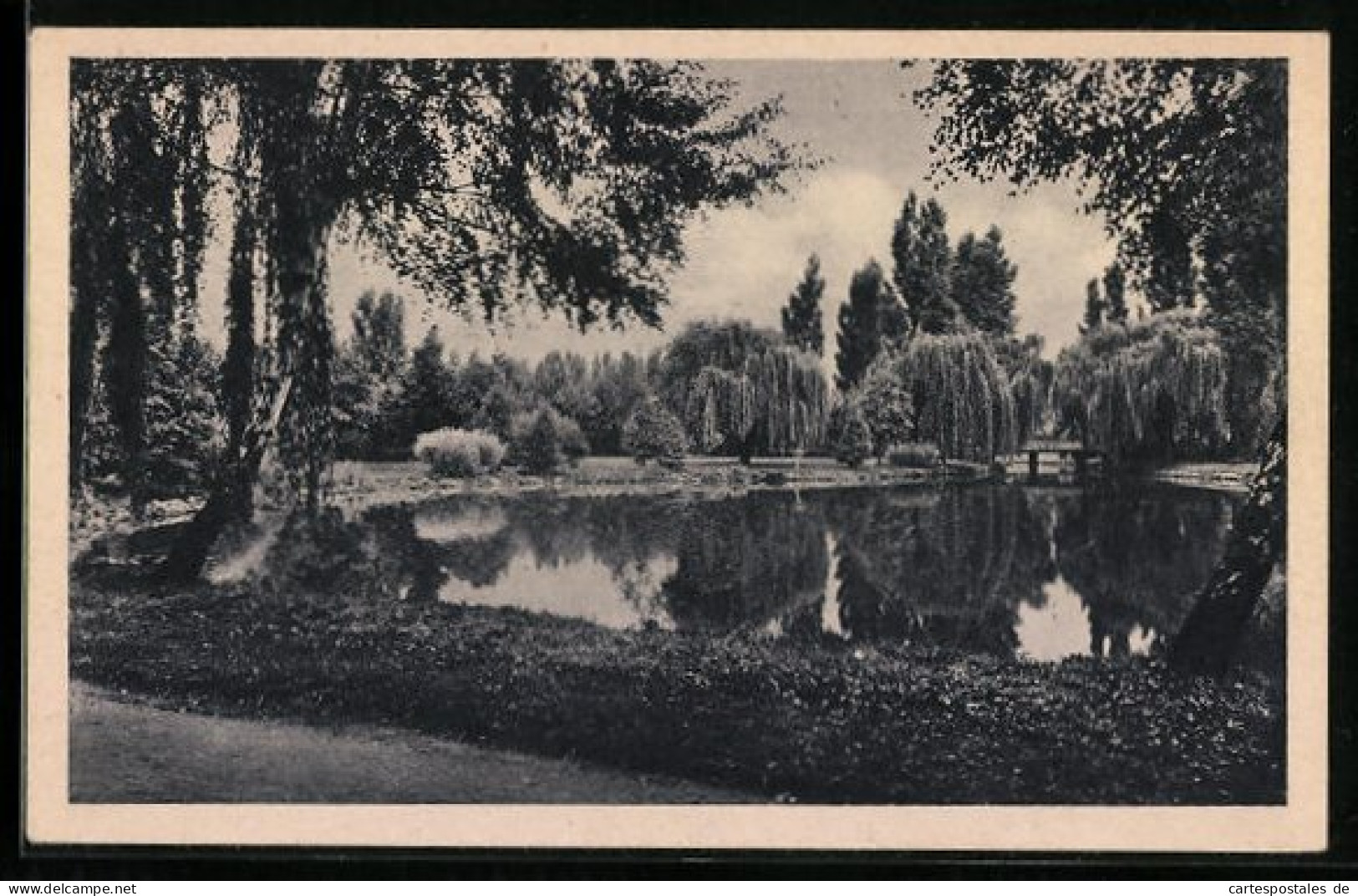 AK Berlin-Spandau, Teich Im Südpark  - Spandau