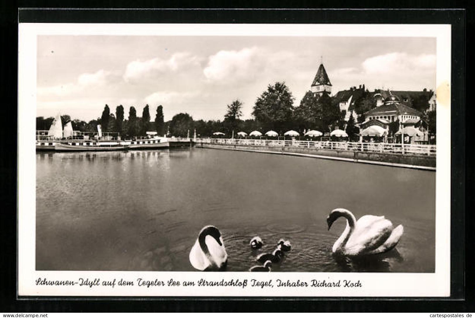 AK Berlin-Tegel, Gasthaus Strandschloss Tegel Am Tegeler See Mit Schwänen  - Tegel