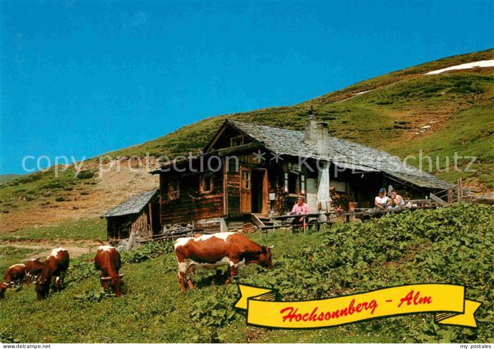 72802793 Piesendorf Hochsonnberg Alm Am Pinzgauer Spaziergang Kuehe Piesendorf - Altri & Non Classificati