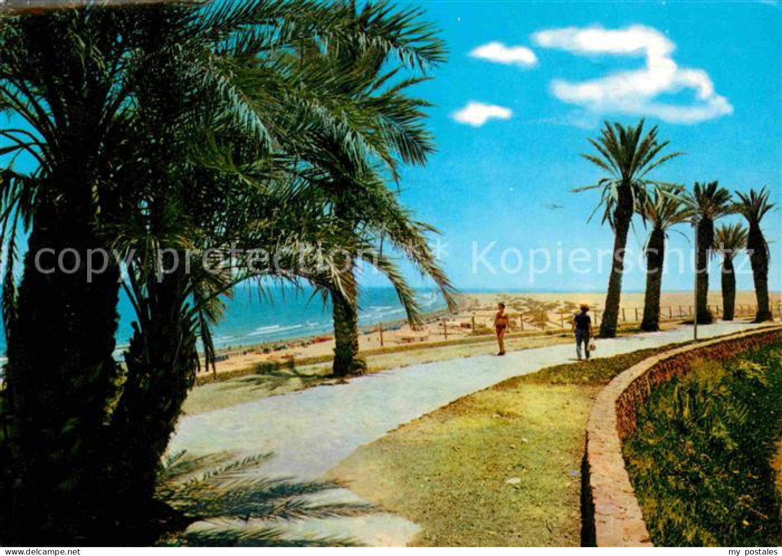 72801950 Playa Del Ingles Strand Promenade Palmen Playa Del Ingles - Andere & Zonder Classificatie