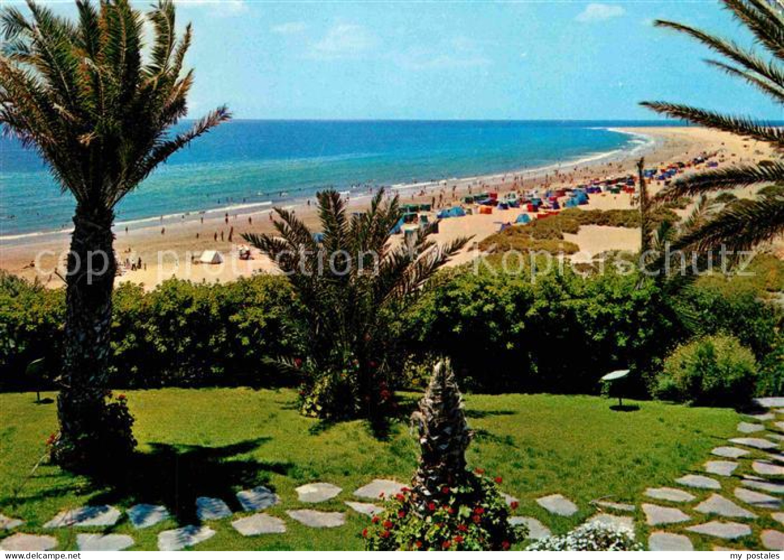 72801949 Playa Del Ingles Panorama Strand Palmen Playa Del Ingles - Other & Unclassified