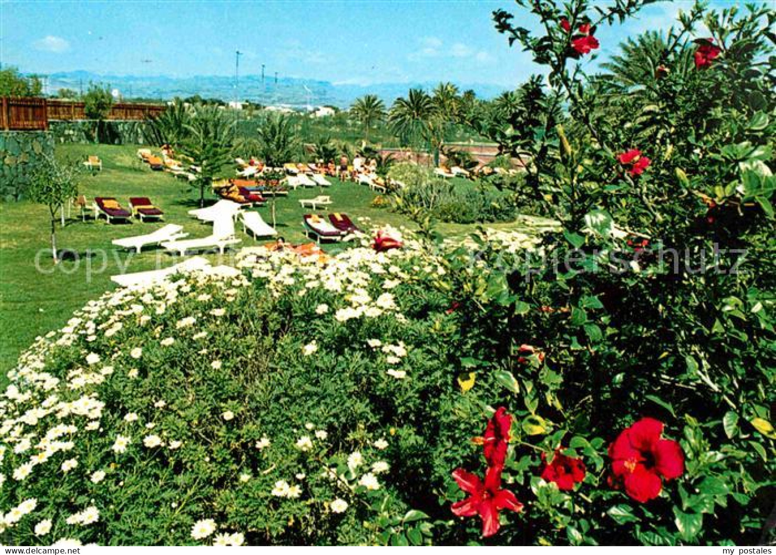 72801948 Maspalomas Hotel Maspalomas Oasis Liegewiese  - Autres & Non Classés