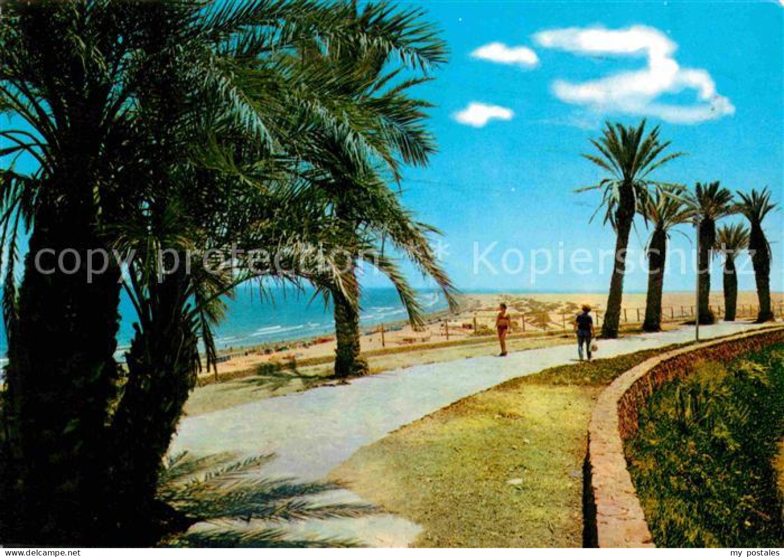 72801945 Playa Del Ingles Panorama Strand Promenade Palmen Playa Del Ingles - Autres & Non Classés