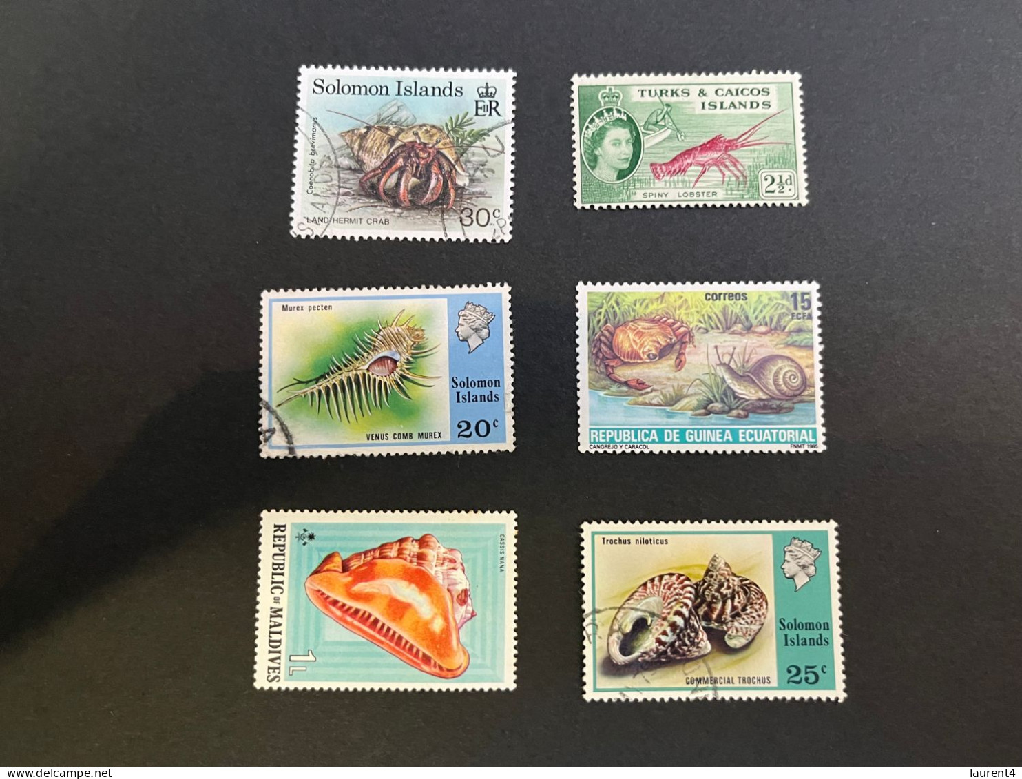 11-5-2024 (stamp)  7 Shell / Seashell - 6 Different Values / Countries - Crustacés