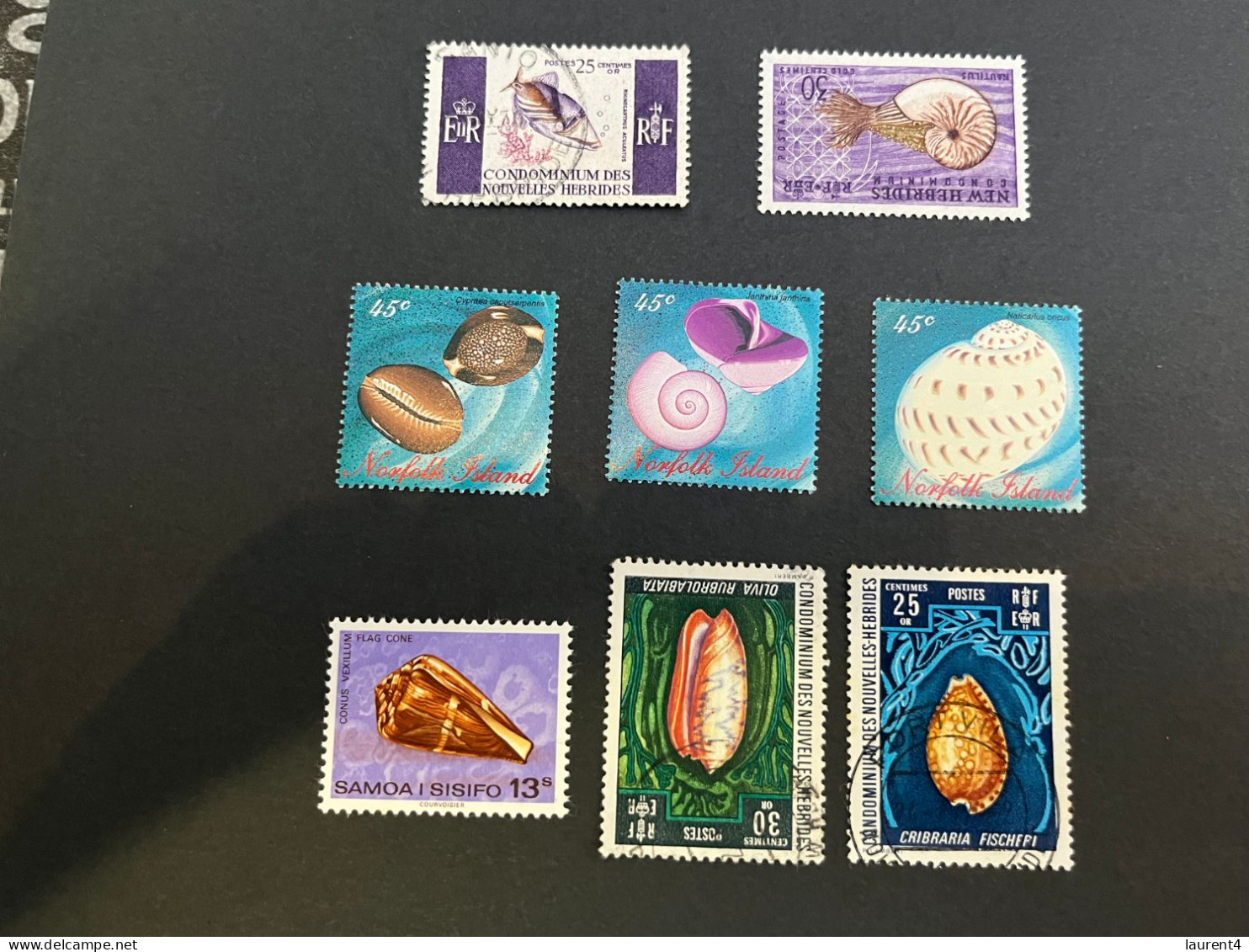 11-5-2024 (stamp)  7 Shell / Seashell - 8 Different Values / Countries - Crustáceos