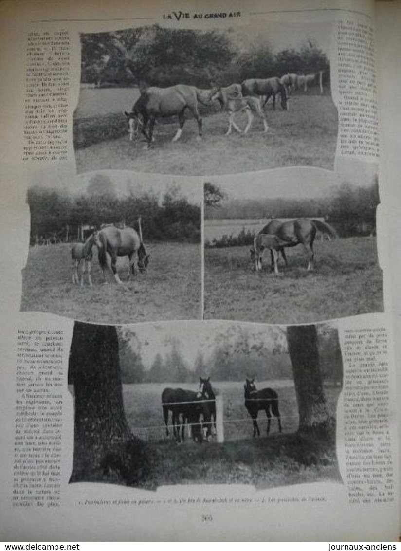 1902 DESSIN SEM - LE GRAND PRIX ET LE STEEPLE - LA SOCIETE - LES GAGNANTS - LES ENGAGES - LA VIE AU GRAND AIR