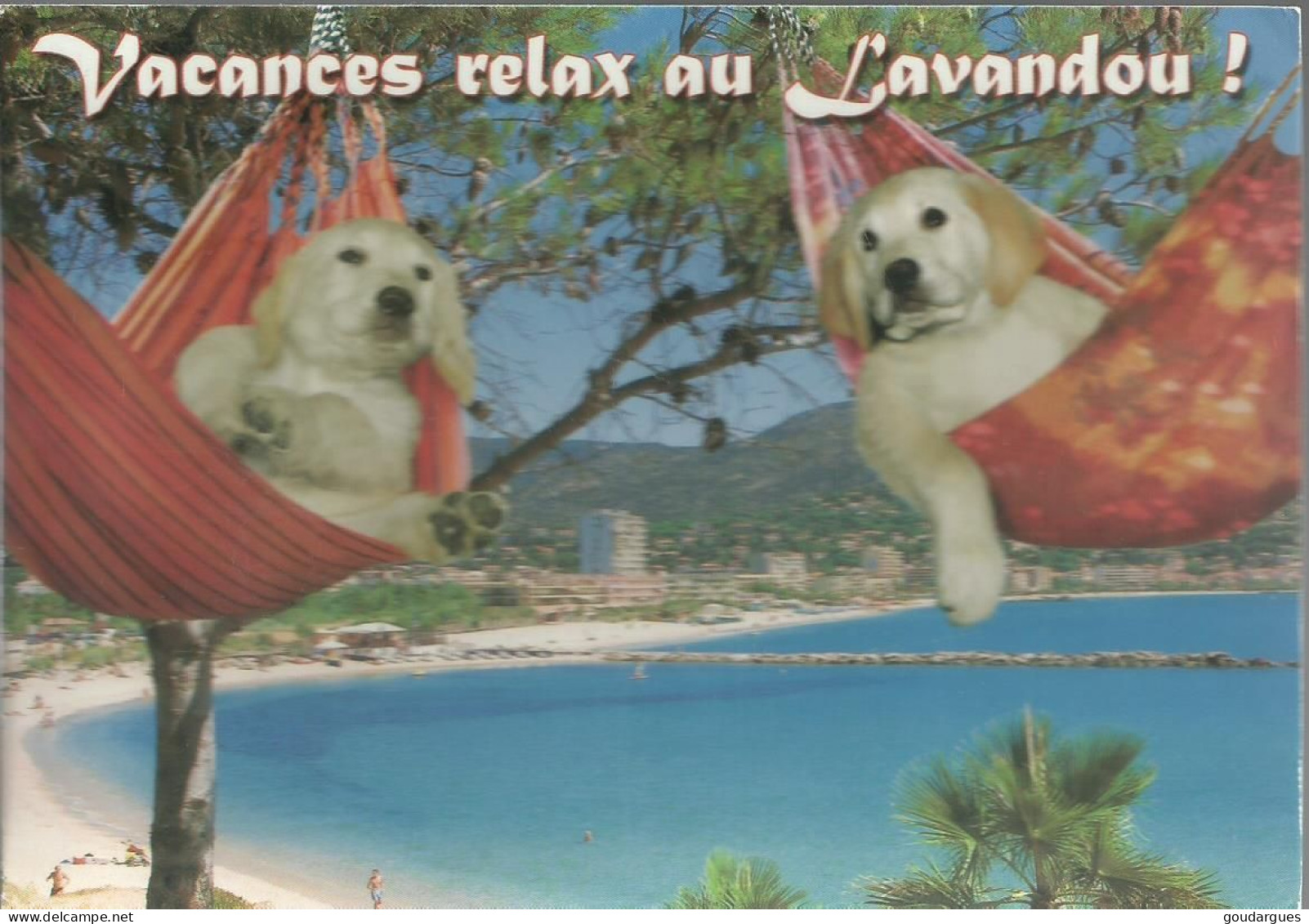 Vacances Relax Au Lavandou ! - (P) - Le Lavandou